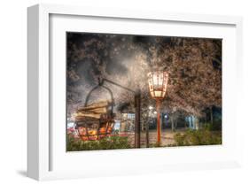 Tokyo Cherry Blossom Festival-null-Framed Art Print