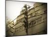 Tokyo City Electric Pole-NaxArt-Mounted Art Print