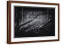 Brown Frame