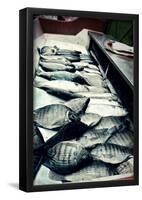 Tokyo Fish Market-null-Framed Poster