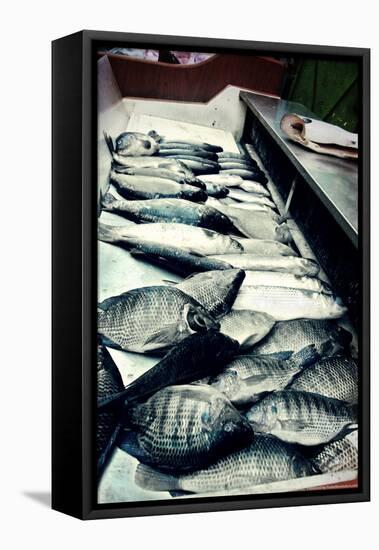 Tokyo Fish Market-null-Framed Stretched Canvas