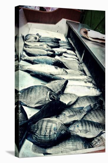 Tokyo Fish Market-null-Stretched Canvas