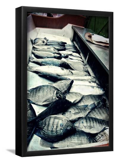 Poster, , large