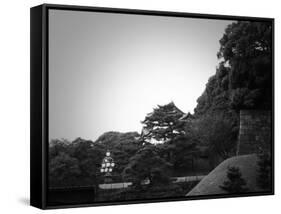 Tokyo Imperial Palace-NaxArt-Framed Stretched Canvas