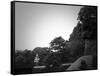 Tokyo Imperial Palace-NaxArt-Framed Stretched Canvas