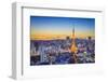 Tokyo, Japan City Skyline-SeanPavonePhoto-Framed Photographic Print