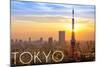 Tokyo, Japan - City View and Sunset-Lantern Press-Mounted Art Print