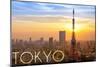 Tokyo, Japan - City View and Sunset-Lantern Press-Mounted Art Print