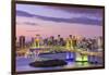 Tokyo, Japan Skyline with Rainbow Bridge and Tokyo Tower-Sean Pavone-Framed Photographic Print