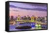 Tokyo, Japan Skyline with Rainbow Bridge and Tokyo Tower-Sean Pavone-Framed Stretched Canvas