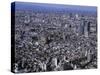 Tokyo, Japan-null-Stretched Canvas