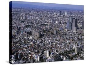 Tokyo, Japan-null-Stretched Canvas