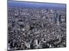 Tokyo, Japan-null-Mounted Premium Photographic Print