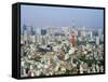 Tokyo, Japan-null-Framed Stretched Canvas