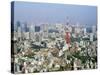 Tokyo, Japan-null-Stretched Canvas