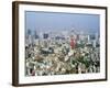 Tokyo, Japan-null-Framed Photographic Print