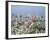 Tokyo, Japan-null-Framed Photographic Print