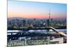 Tokyo Skyline at Dusk, View of Asakusa District, Sumida River and Skytree-Roland Nagy-Mounted Photographic Print