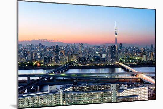 Tokyo Skyline at Dusk, View of Asakusa District, Sumida River and Skytree-Roland Nagy-Mounted Premium Photographic Print