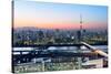 Tokyo Skyline at Dusk, View of Asakusa District, Sumida River and Skytree-Roland Nagy-Stretched Canvas