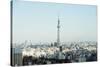 Tokyo Skytree, Asakusa, Tokyo, Honshu, Japan, Asia-Christian Kober-Stretched Canvas