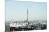 Tokyo Skytree, Asakusa, Tokyo, Honshu, Japan, Asia-Christian Kober-Mounted Photographic Print