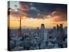 Tokyo Tower and Mt; Fuji from Shiodome, Tokyo, Japan-Jon Arnold-Stretched Canvas