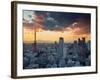 Tokyo Tower and Mt; Fuji from Shiodome, Tokyo, Japan-Jon Arnold-Framed Photographic Print