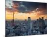 Tokyo Tower and Mt; Fuji from Shiodome, Tokyo, Japan-Jon Arnold-Mounted Photographic Print