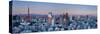 Tokyo Tower and Mt; Fuji from Shiodome, Tokyo, Japan-Jon Arnold-Stretched Canvas