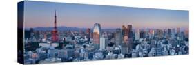 Tokyo Tower and Mt; Fuji from Shiodome, Tokyo, Japan-Jon Arnold-Stretched Canvas