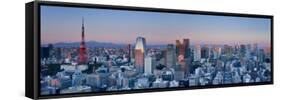 Tokyo Tower and Mt; Fuji from Shiodome, Tokyo, Japan-Jon Arnold-Framed Stretched Canvas