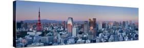 Tokyo Tower and Mt; Fuji from Shiodome, Tokyo, Japan-Jon Arnold-Stretched Canvas