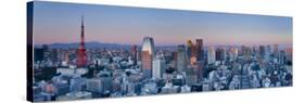 Tokyo Tower and Mt; Fuji from Shiodome, Tokyo, Japan-Jon Arnold-Stretched Canvas