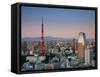 Tokyo Tower and Mt; Fuji from Shiodome, Tokyo, Japan-Jon Arnold-Framed Stretched Canvas
