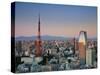 Tokyo Tower and Mt; Fuji from Shiodome, Tokyo, Japan-Jon Arnold-Stretched Canvas