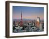 Tokyo Tower and Mt; Fuji from Shiodome, Tokyo, Japan-Jon Arnold-Framed Photographic Print