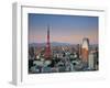 Tokyo Tower and Mt; Fuji from Shiodome, Tokyo, Japan-Jon Arnold-Framed Photographic Print