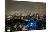 Tokyo Tower: Candlelight Event of One Million People Day II-Takashi Kirita-Mounted Art Print