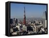 Tokyo Tower, City Skyline and Mount Fuji Beyond, Tokyo, Japan, Asia-Olivier Goujon-Framed Stretched Canvas