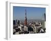 Tokyo Tower, City Skyline and Mount Fuji Beyond, Tokyo, Japan, Asia-Olivier Goujon-Framed Photographic Print