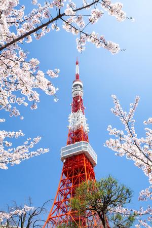 Tokyo Tower During The Cherry Blossom Season Minato Tokyo Japan Photographic Print Jan Christopher Becke Allposters Com