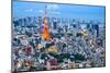 Tokyo Tower in Tokyo, Japan-SeanPavonePhoto-Mounted Photographic Print