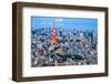 Tokyo Tower in Tokyo, Japan-SeanPavonePhoto-Framed Photographic Print