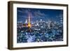 Tokyo Tower in Tokyo, Japan-SeanPavonePhoto-Framed Photographic Print