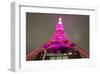 Tokyo Tower: Pink Ribbon Day II-Takashi Kirita-Framed Art Print