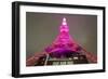 Tokyo Tower: Pink Ribbon Day II-Takashi Kirita-Framed Art Print