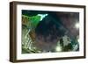 Tokyo Tower: St. Patrick's Day II-Takashi Kirita-Framed Art Print