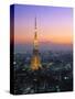 Tokyo Tower, Tokyo, Japan-Rex Butcher-Stretched Canvas