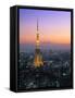 Tokyo Tower, Tokyo, Japan-Rex Butcher-Framed Stretched Canvas